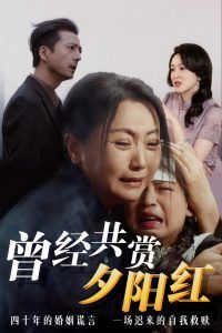 曾经共赏夕阳红封面图