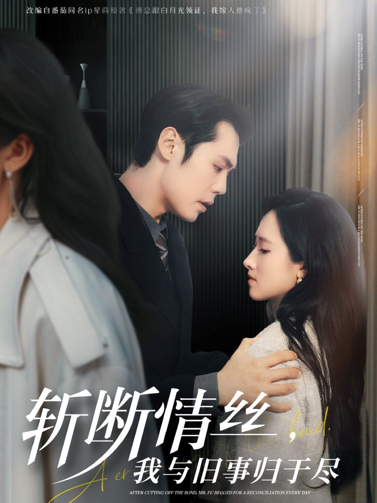 斩断情丝我与旧事归于尽封面图