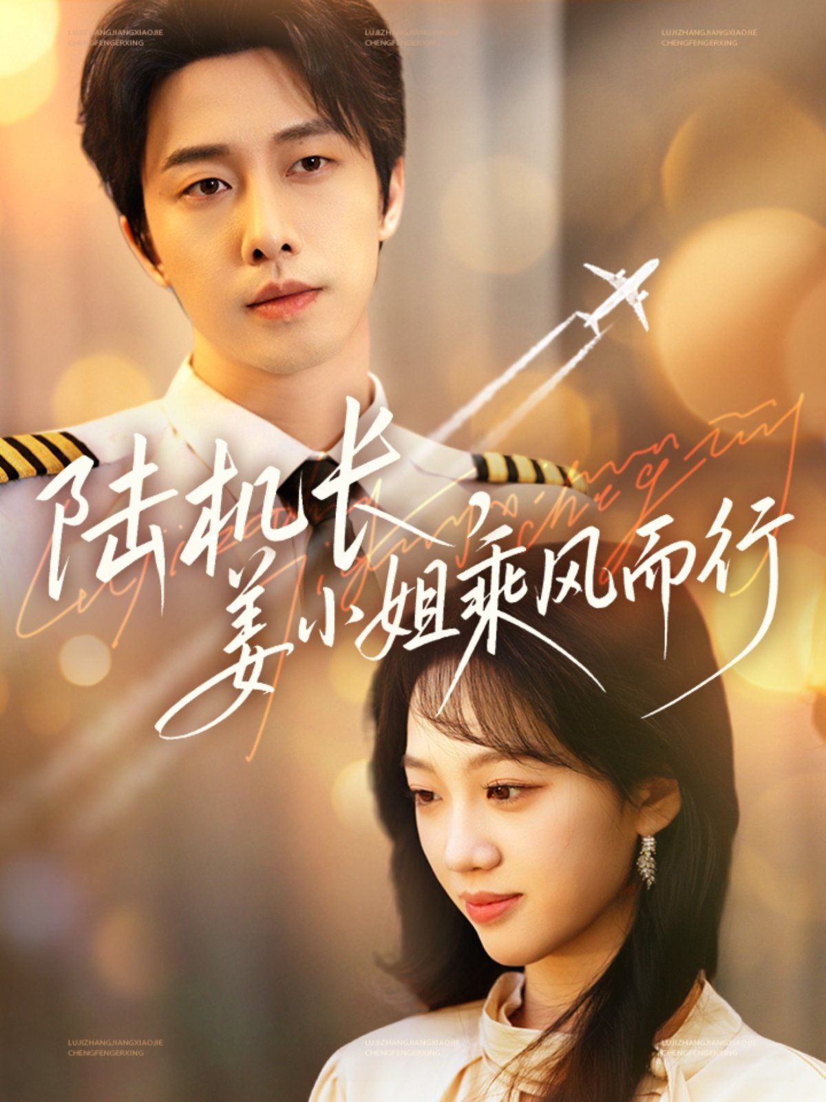 陆机长姜小姐乘风而行封面图