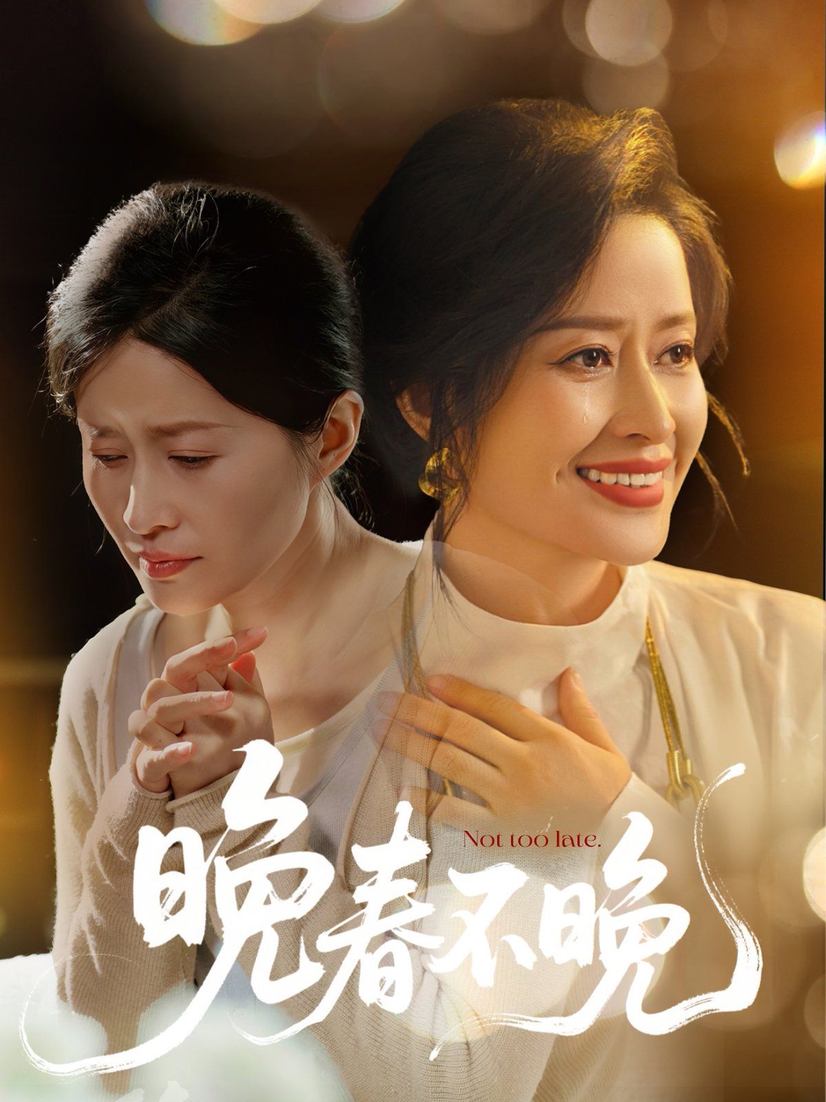 晚春不晚封面图