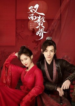 双面赘婿封面图