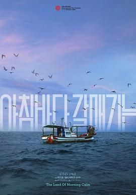 晨海的海鸥封面图