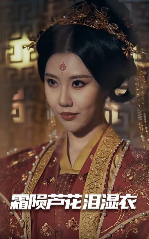 母剑照霜白（霜陨芦花泪湿衣）封面图
