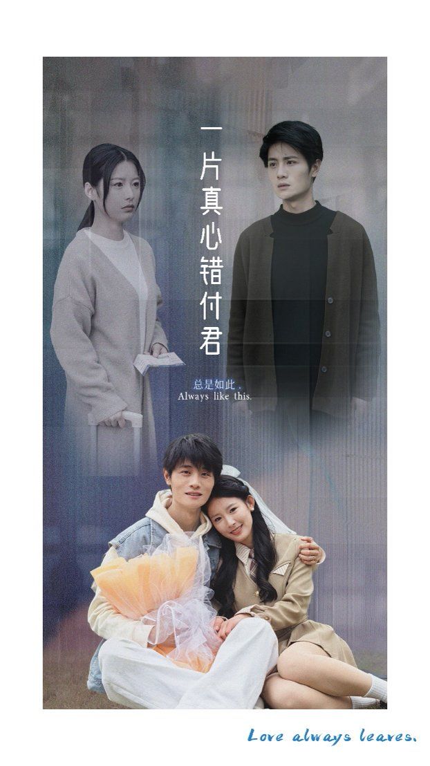 一片真心错付君封面图