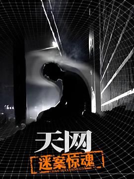天网：迷案惊魂封面图