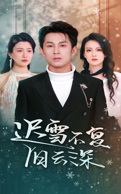 迟雪不复旧云深（当年明月，负尽深雪）封面图