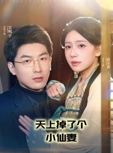 天上掉了个小仙妻(天上掉下个小仙女)封面图