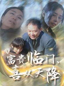 富贵临门喜从天降封面图