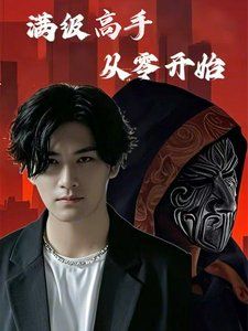 满级高手从零开封面图