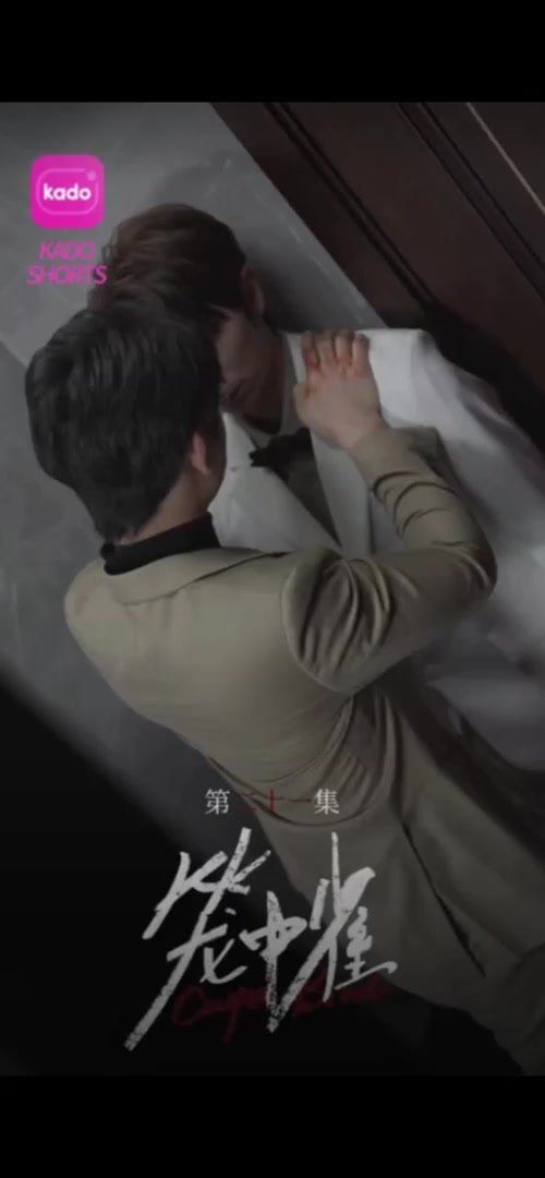 笼中雀封面图