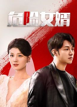 危险女婿封面图