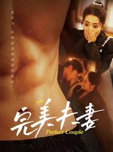 完美夫妻封面图