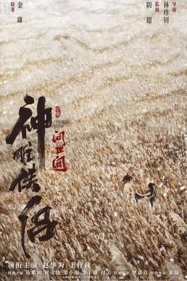神雕侠侣：问世间封面图