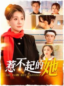 惹不起的她2025封面图