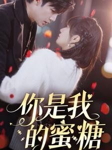 你是我的蜜糖封面图
