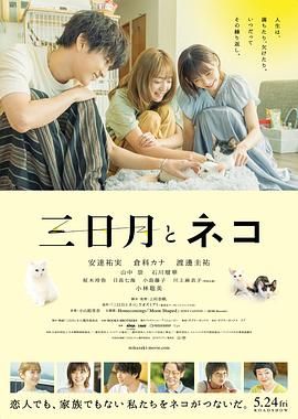 三日月与猫封面图