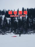 峡谷情缘封面图