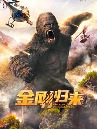 金刚归来封面图