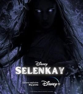 Selenkay封面图