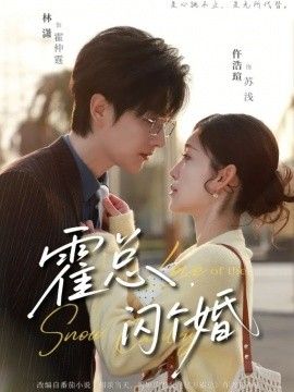 霍总闪个婚封面图