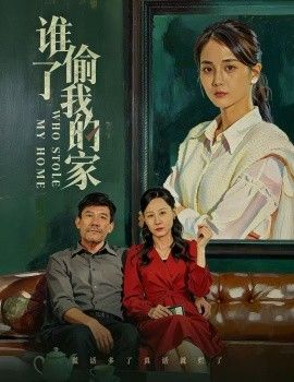 谁偷了我的家封面图
