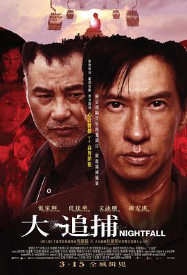 大追捕2012封面图