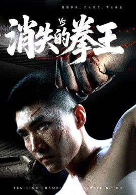 消失的拳王封面图