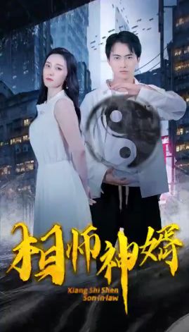 相师神婿封面图