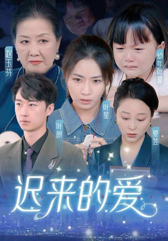 迟来的爱（天上的星星不说话）封面图