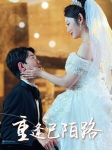重逢已陌路（林千金她装不下去了）（她如月光碎向星夜）封面图