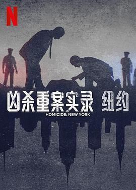 凶杀重案实录：纽约封面图