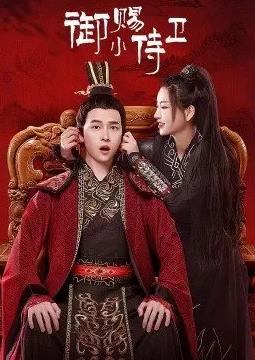 御赐小侍卫封面图