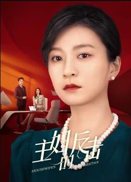 主妇的反击封面图