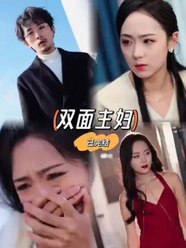 双面主妇封面图