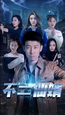 不二仙婿封面图