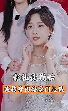 彩礼谈崩后我闪婚了豪门老公封面图
