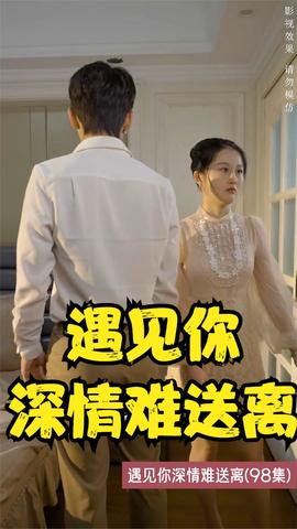 遇见你深情难送离封面图