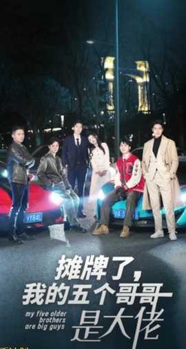 摊牌了我的五个哥哥是大佬封面图