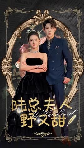 陆总夫人野又甜封面图