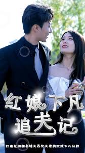 红娘下凡追夫记封面图