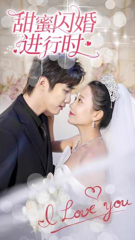 甜蜜闪婚进行时封面图