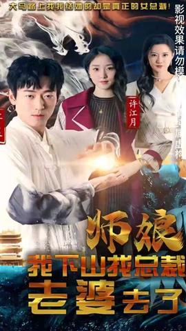 师娘我下山找总裁老婆了封面图