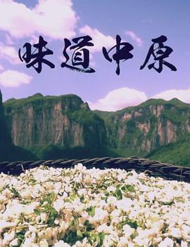 味道中原封面图