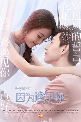 因为遇见你封面图
