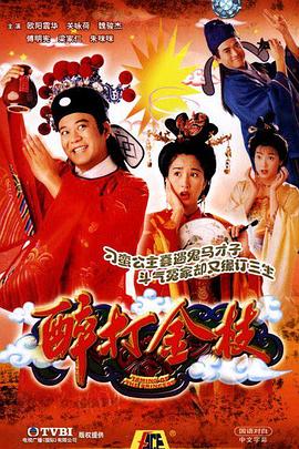 醉打金枝（国语版）封面图