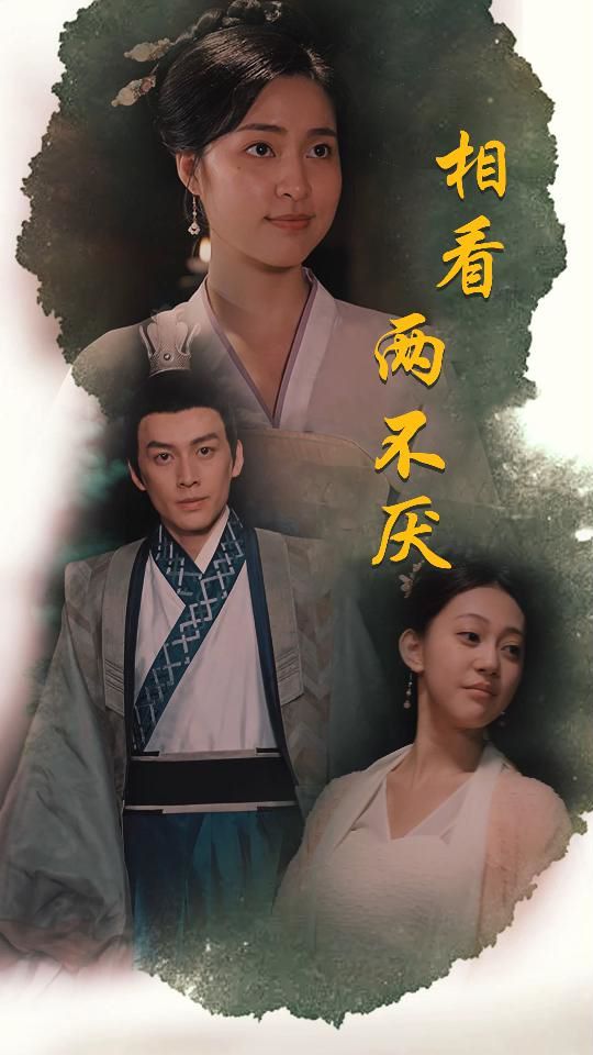 相看两不厌(这个王妃不好惹)封面图