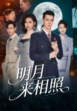 明月来相照，裂痕之上的新生封面图