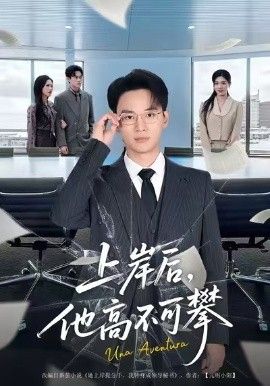 上岸后，他高不可攀封面图