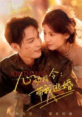 心动指令：带我逃婚，玫瑰窃贼封面图