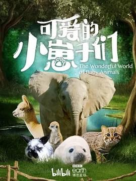 可爱的小崽子们 中文版封面图